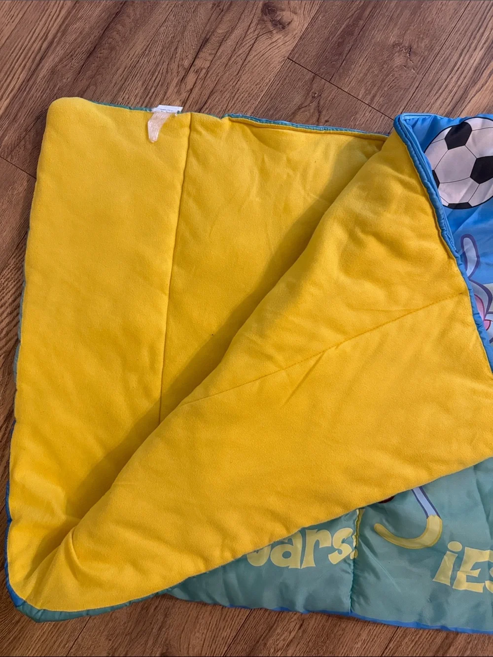 Vintage Y2K Nick Jr Dora the Explorer Soccer Stars Sleeping Bag Diego Boots